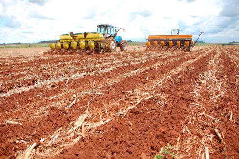 Os solos brasileiros Os solos brasileiros